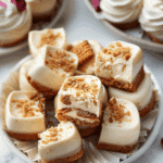Biscoff Cheesecake Bites