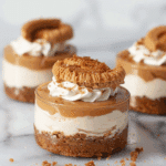 Mini Vegan Biscoff Cheesecakes