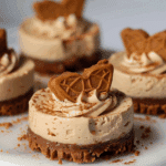 Mini Vegan Biscoff Cheesecakes Recipe