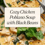 Chicken, Poblano, and Black Bean Soup Recipe