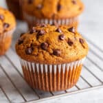 Best Pumpkin Chocolate Chip Muffins Recipe