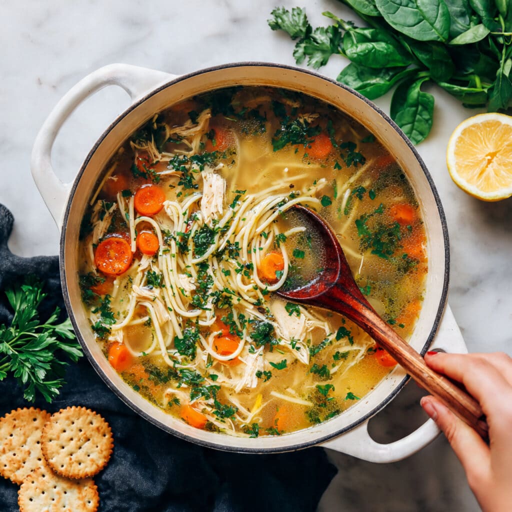 Hearty Chicken Vegetable Soup Recipe