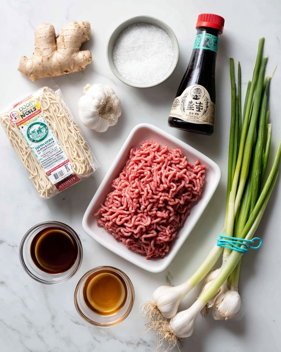 The image shows ingredients arranged neatly on a light tan tray with a white marbled surface underneath. In the center is a white plastic tray filled with finely ground red meat with visible texture. To the top right are fresh green onions with long green stems and white bases tied with a blue band. Above the meat tray are three white garlic bulbs and a piece of light brown ginger. To the top left is a dark green bottle of hoisin sauce with a red cap. Below it is a small white scalloped bowl filled with coarse white salt. On the bottom left is a pack of white lo mein egg noodles with red and yellow text on the wrapper. Next to it are two clear glass bowls filled with light brown and dark brown liquids, placed side by side. The photo taken with an iphone --ar 4:5 --v 7
