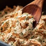 Slow Cooker Cream Cheese Chicken Recipe