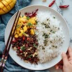 Mango Chicken Teriyaki Recipe