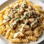 Beef and Rotini in Garlic Parmesan Sauce Recipe